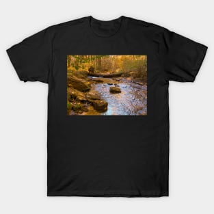 Mountain Stream T-Shirt